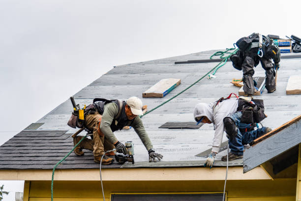 Professional Roofing technician working in Flanagan, IL